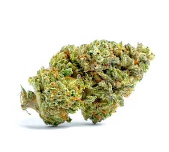 OG Kush